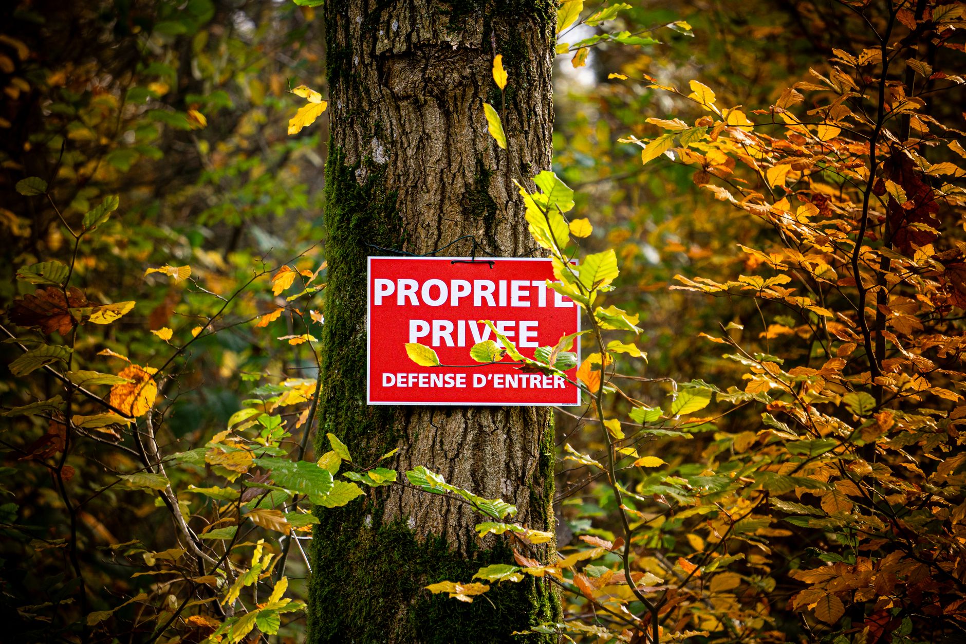 Détective privé à Nanterre
